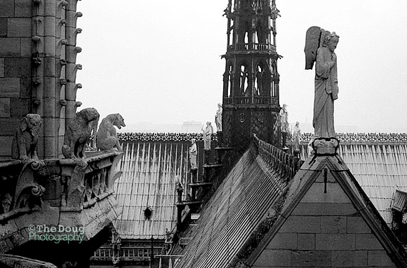 Atop Notre Dame Cathedral 2