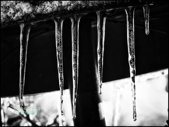 Icicles January 5 2017